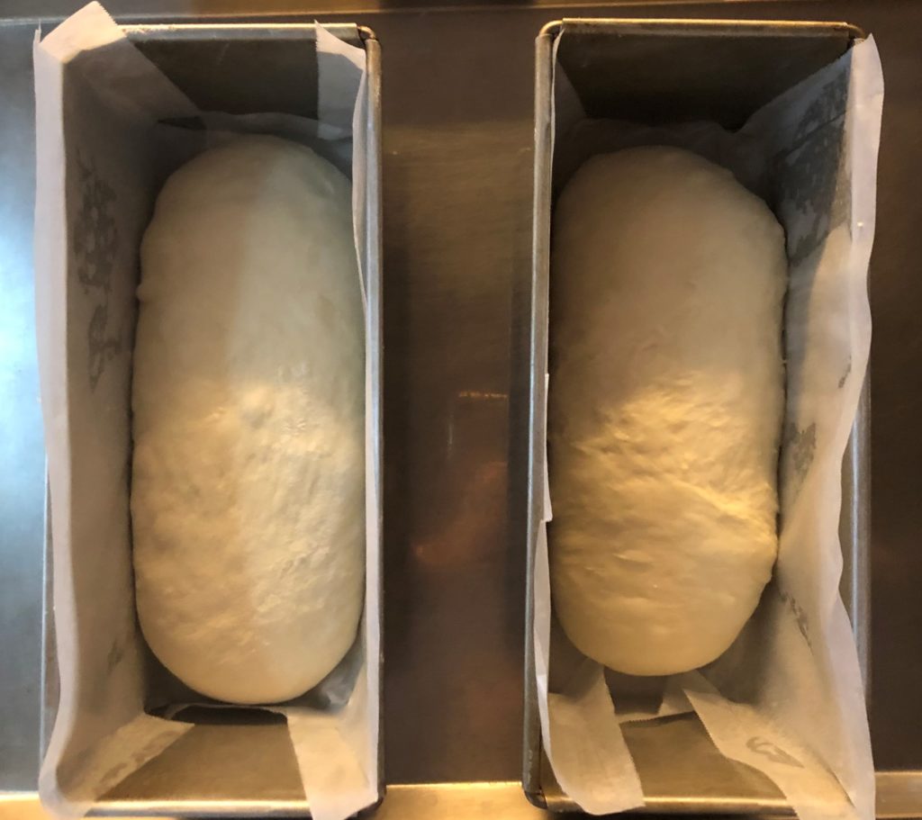 食パン