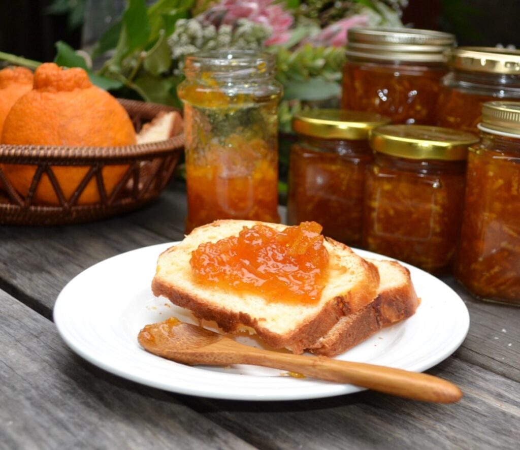 orange marmalade オレンジマーマレード Orange Marmalade Bonne Maman USA