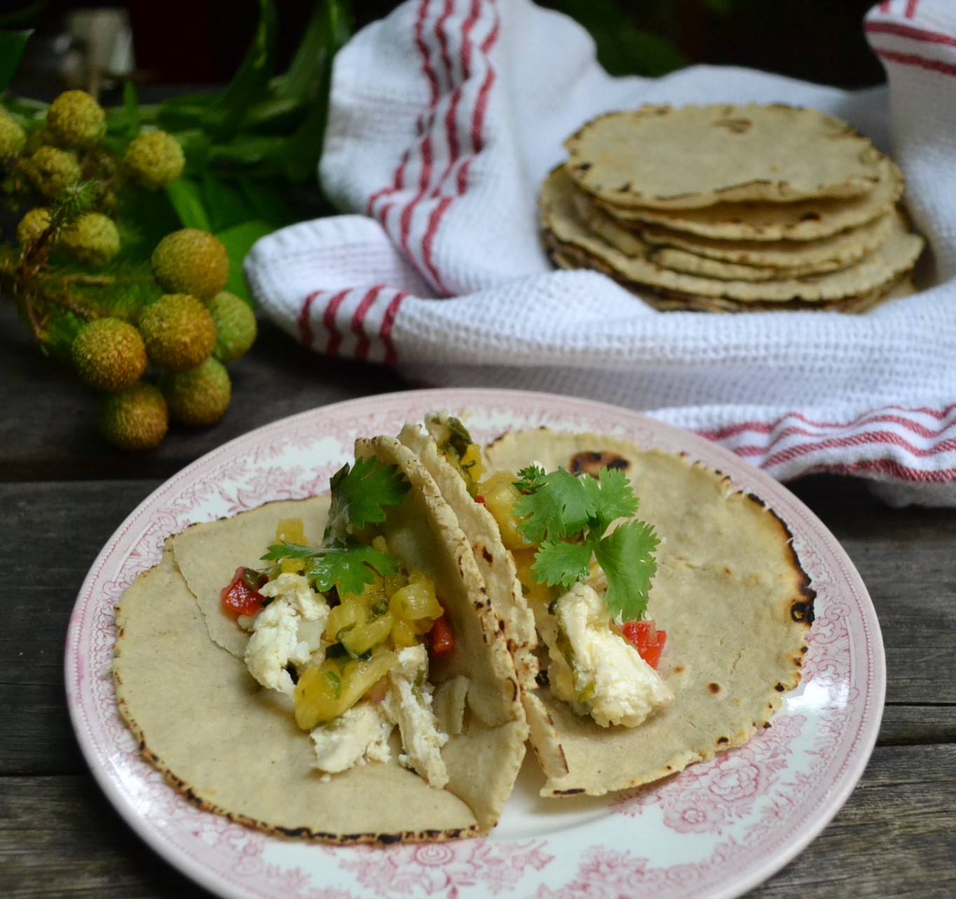 Corn Tortillas コーントルティーヤ US Southern Kitchen