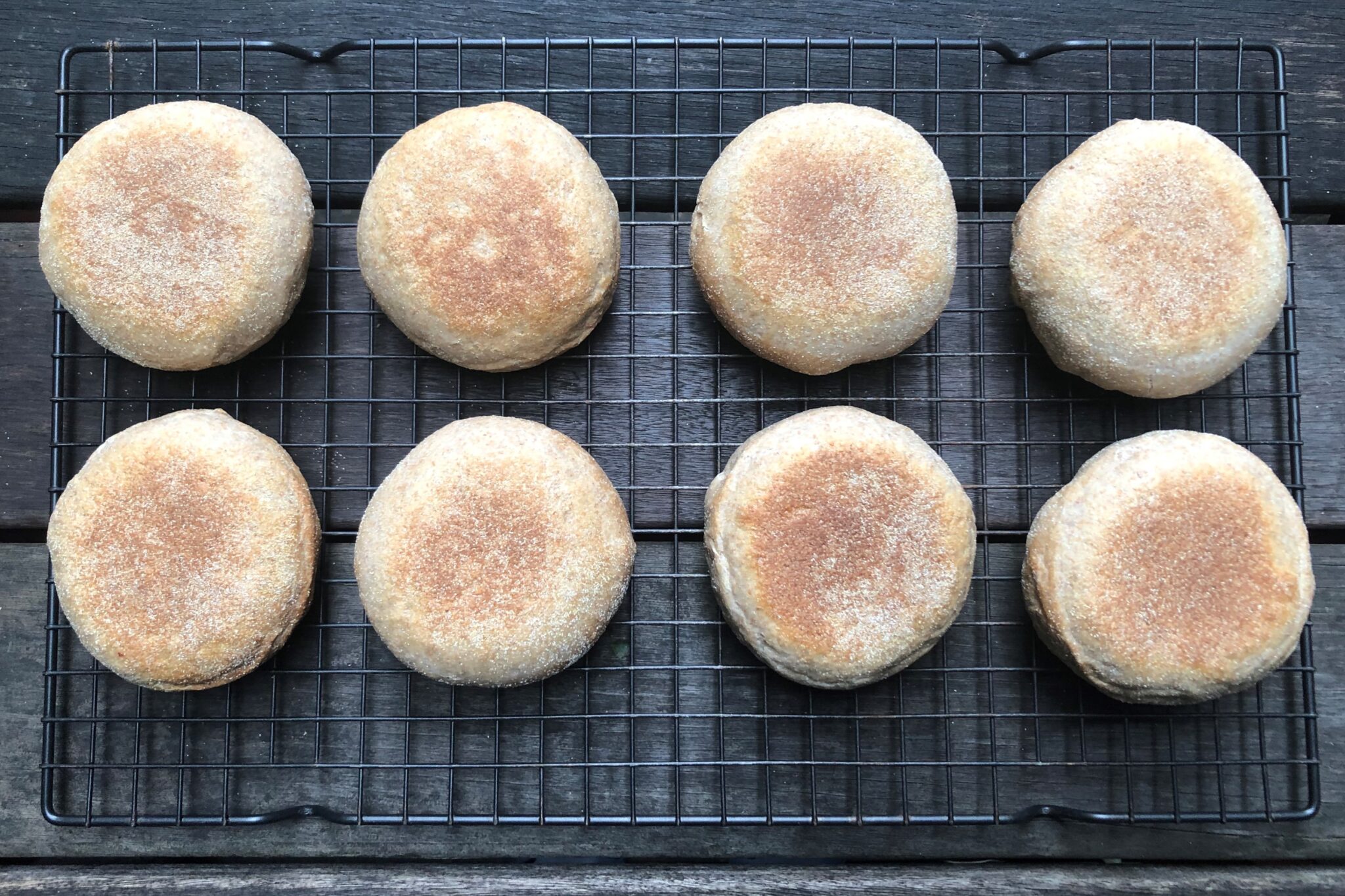 Whole Wheat English Muffins 全粒粉のイングリッシュマフィン US Southern Kitchen