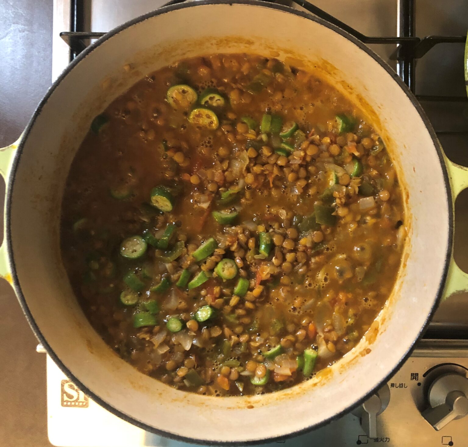 Okra and Lentil Stew オクラとレンズ豆のシチュー US Southern Kitchen