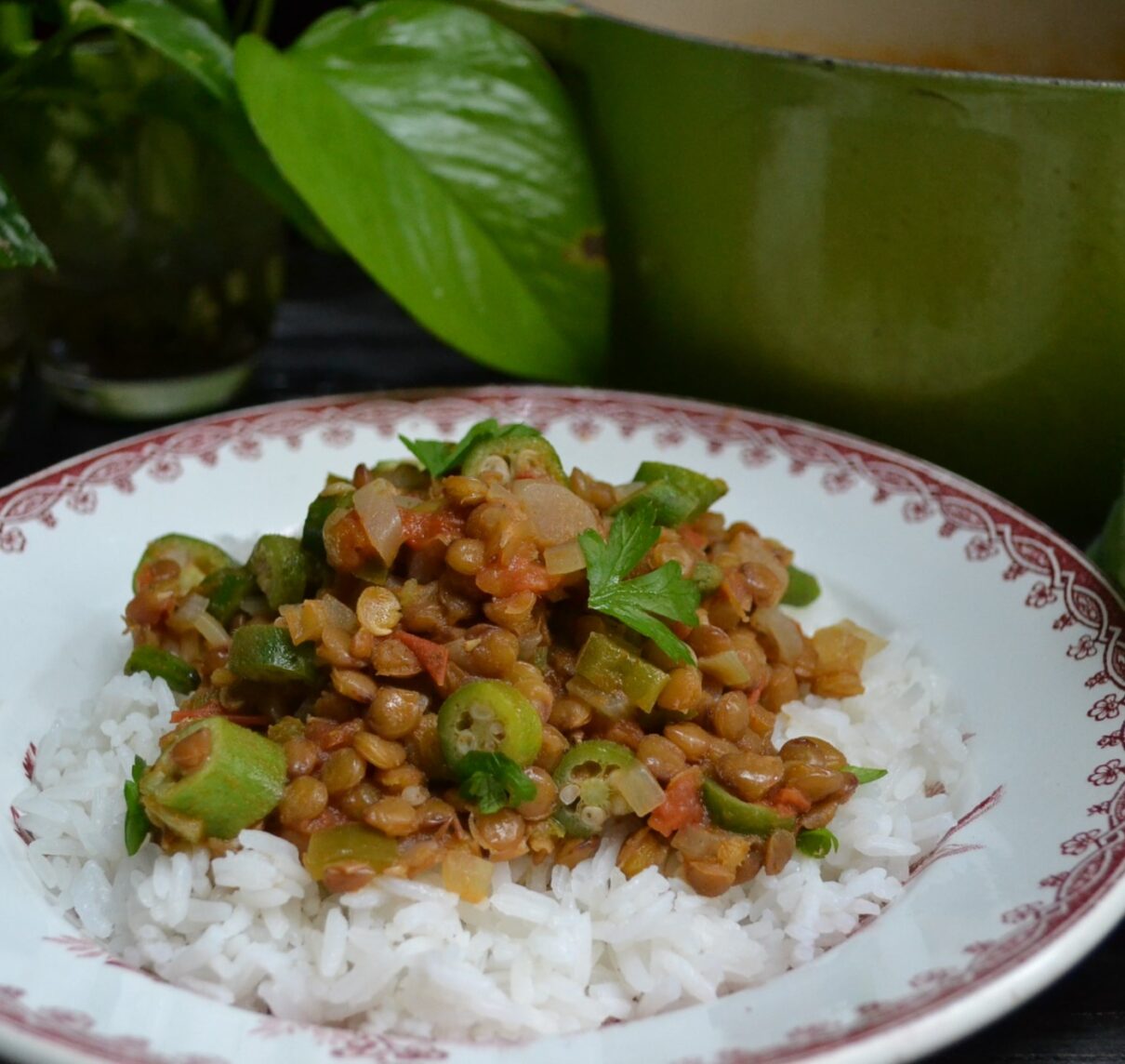 Okra and Lentil Stew オクラとレンズ豆のシチュー US Southern Kitchen
