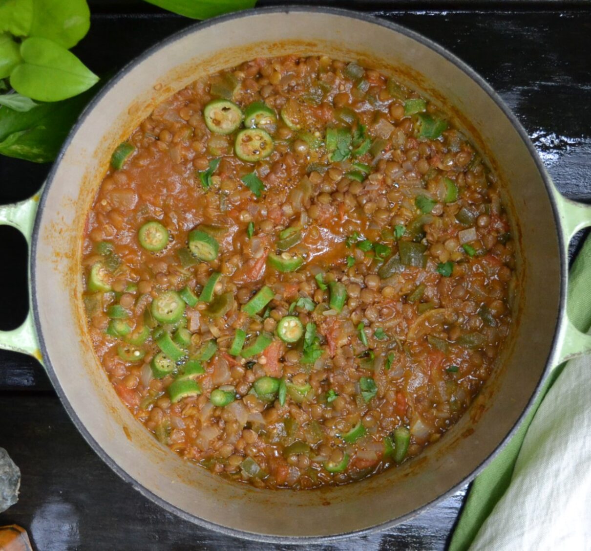 Okra and Lentil Stew オクラとレンズ豆のシチュー US Southern Kitchen