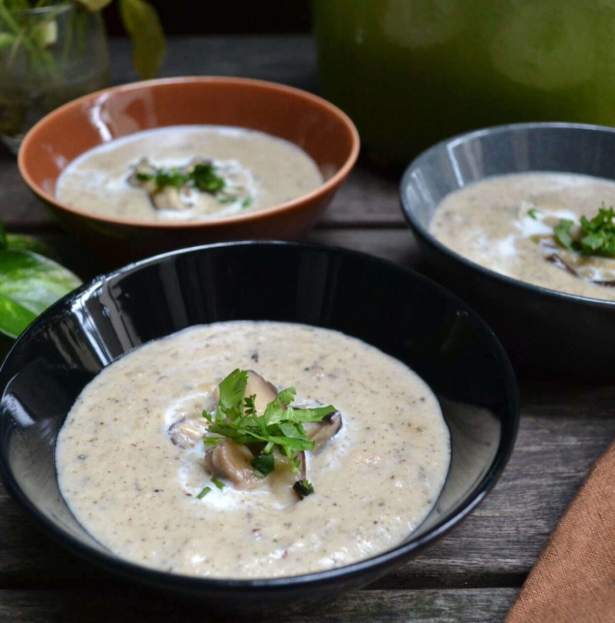 Cream of Mushroom Soup クリームマッシュルーム US Southern Kitchen