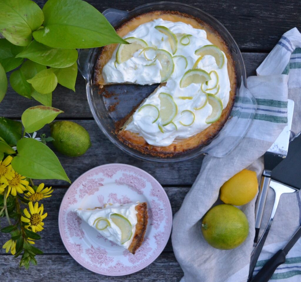 lemon-pie-29-1024x958.jpg